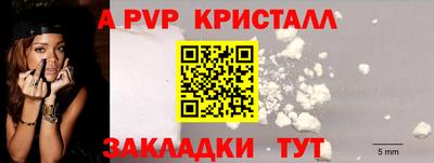 стафф Лесосибирск