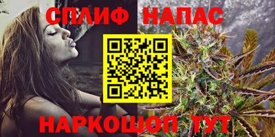 стафф Лесосибирск