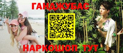 стафф Лесосибирск
